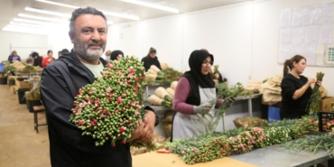 Avrupa ülkelerine 12 milyon dolarlık yılbaşı çiçeği