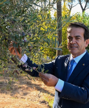 Antalya’nın sıvı altını yarışacak