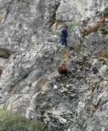 Dağda mahsur kalan keçiler itfaiye kurtardı