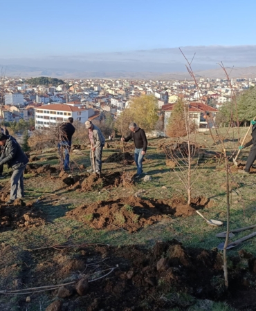 Dernek üyeleri fidan dikti