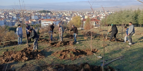 Dernek üyeleri fidan dikti