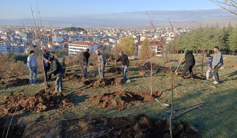 Dernek üyeleri fidan dikti