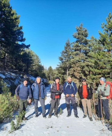 Asırlık sedir ağaçlarına yürüyüş