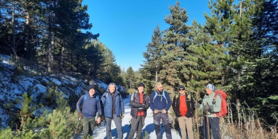 Asırlık sedir ağaçlarına yürüyüş