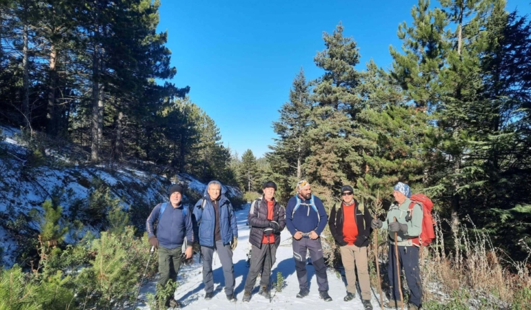 Asırlık sedir ağaçlarına yürüyüş