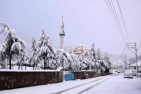 Afyonkarahisar’da kar etkisini gösterdi