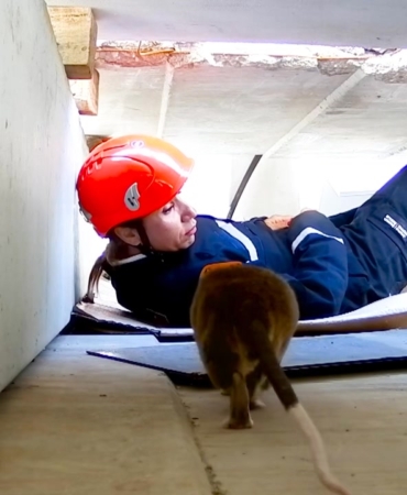 Kahraman Fareler Afetlere Hazır Görevde!