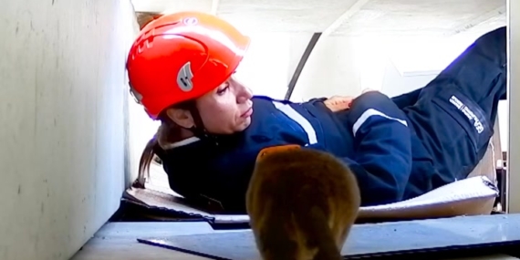 Kahraman Fareler Afetlere Hazır Görevde!