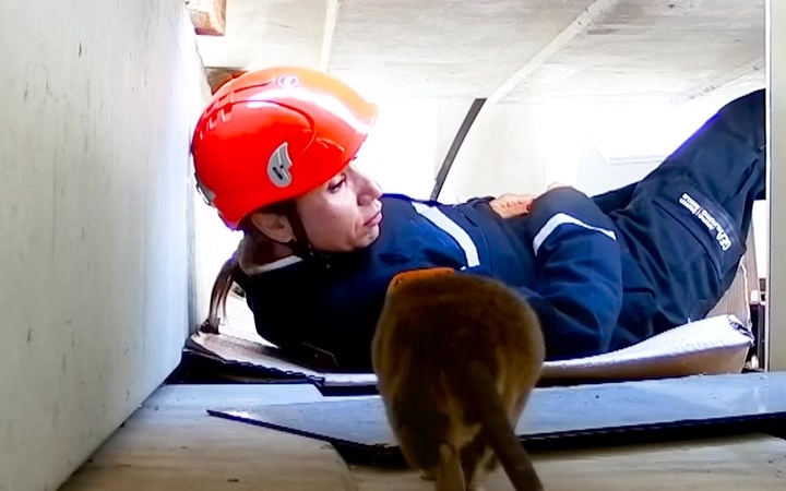 Kahraman Fareler Afetlere Hazır Görevde!