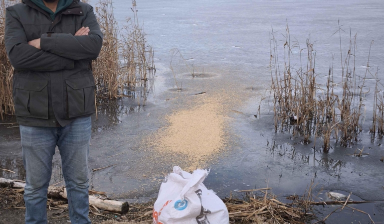 Gönüllüler donan Eber Gölü’ne kuşlar için yem bıraktı