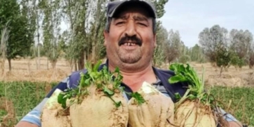 Yeğeninin eski eşi tarafından tabancayla öldürüldü