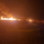 Eber Gölü’nde 5 farklı noktada yangın çıktı