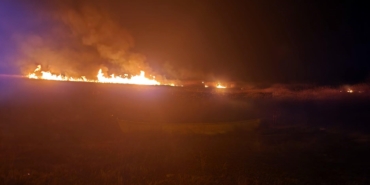 Eber Gölü’nde 5 farklı noktada yangın çıktı