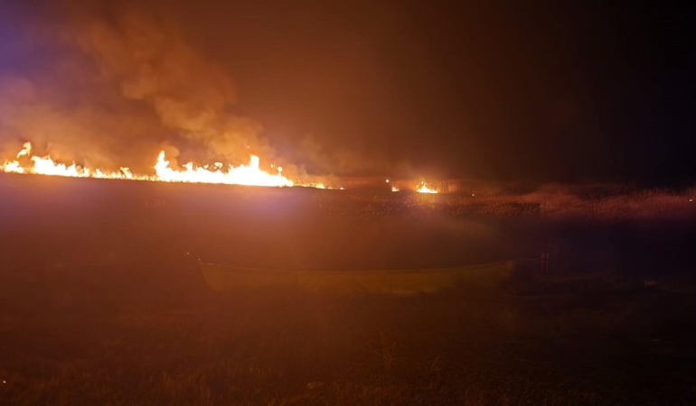 Eber Gölü’nde 5 farklı noktada yangın çıktı