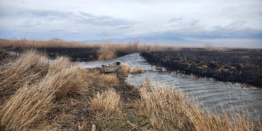 Eber Gölü’ndeki kamış yangınları söndürüldü (2)