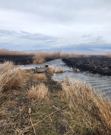 Eber Gölü’ndeki kamış yangınları söndürüldü (2)