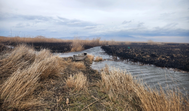 Eber Gölü’ndeki kamış yangınları söndürüldü (2)