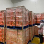 İhraç gıda ürünlerine denetim