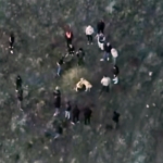 Jandarma köpek dövüşünü dronla tespit etti; 14 gözaltı