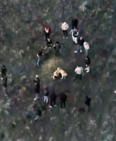 Jandarma köpek dövüşünü dronla tespit etti; 14 gözaltı