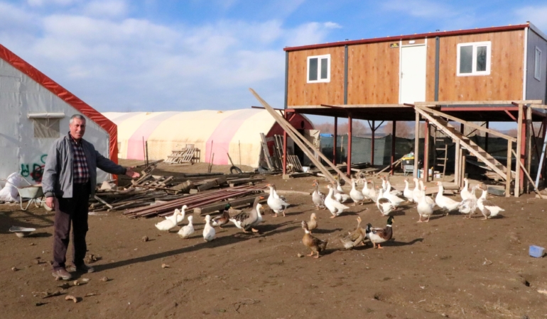 3 asırdır köylerinde kaz yetiştiriyorlar