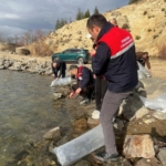 Afyonkarahisar’da 13 ilçede 39 göl ve gölete balık bırakıldı