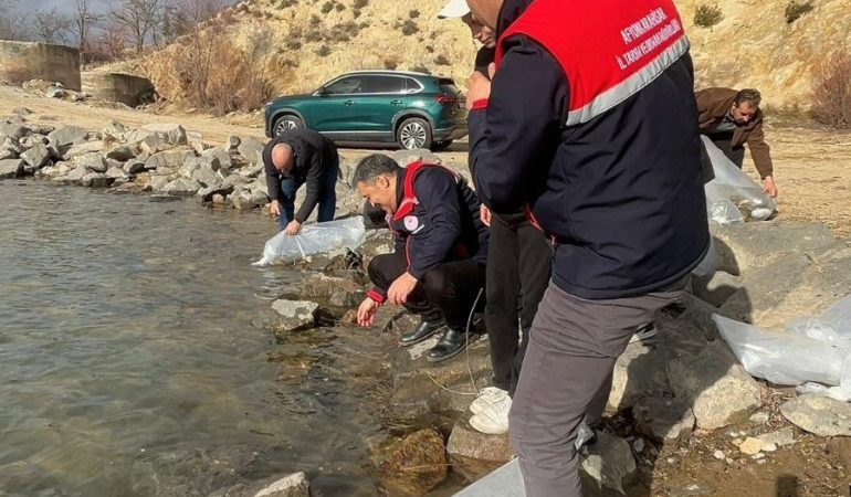 Afyonkarahisar’da 13 ilçede 39 göl ve gölete balık bırakıldı