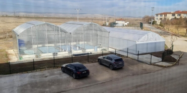 Jeotermal suyla karides ve balık üretilecek