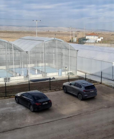 Jeotermal suyla karides ve balık üretilecek