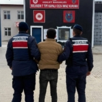 Jandarma aranan 50 kişiyi yakaladı