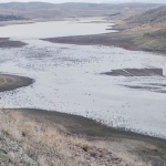 Selevir Barajı su tutmaya başladı