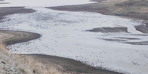 Selevir Barajı su tutmaya başladı