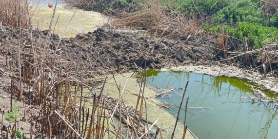 Kaçak bentler kaldırılıyor