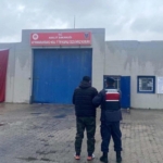 Jandarma 30 kişiyi yakaladı