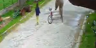 Evinin önünde oynayan çocuğa eşek saldırdı; o anlar kamerada