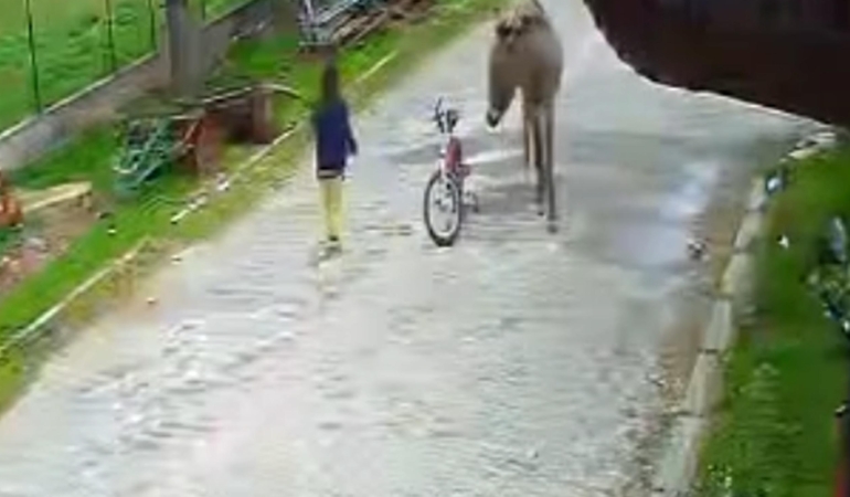 Evinin önünde oynayan çocuğa eşek saldırdı; o anlar kamerada