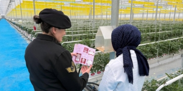 Kadına yönelik şiddetle mücadele çalışması