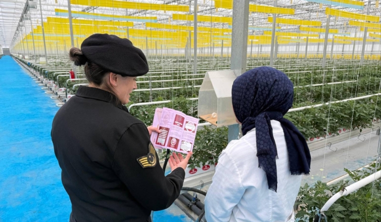 Kadına yönelik şiddetle mücadele çalışması