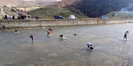 Taşan barajdan çuval ve kasayla balık yakaladılar