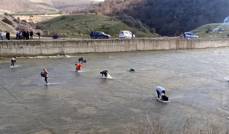 Taşan barajdan çuval ve kasayla balık yakaladılar