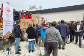 Kiraz üreticilerine sirke sineği tuzağı