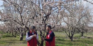 Zirai don sonrası hasar tespiti
