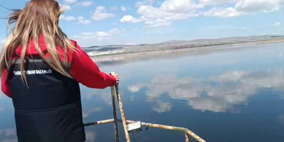 Eber ve Karamık göllerinde denetim
