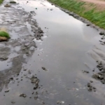 Eber Gölü’nün ana damarı kesildi