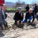 Üreticilere böğürtlen fidesi