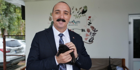 Sokak Hayvanları İçin Sahiplenme Çağrısı