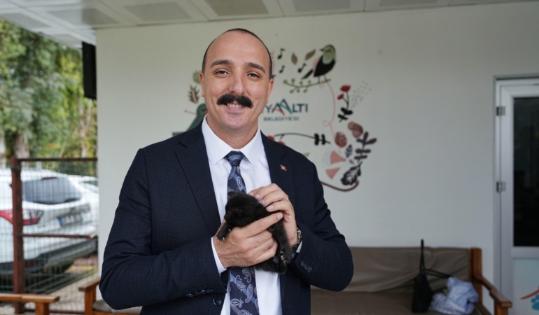 Sokak Hayvanları İçin Sahiplenme Çağrısı