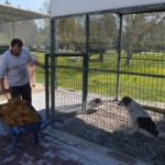 Konyaaltı’nda Sokak Hayvanlarına Mama Üretimi Başladı