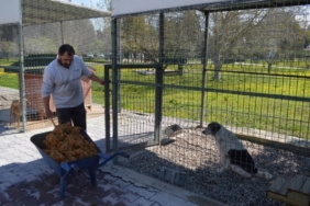 Konyaaltı’nda Sokak Hayvanlarına Mama Üretimi Başladı