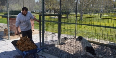 Konyaaltı’nda Sokak Hayvanlarına Mama Üretimi Başladı